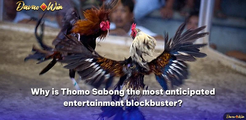 Why is Thomo Sabong the most anticipated entertainment blockbuster?