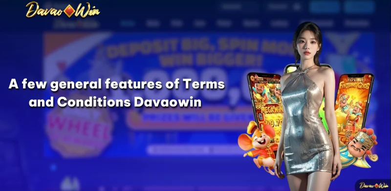 A few general features of Terms and Conditions Davaowin 