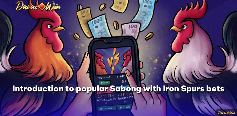 Introduction to popular Sabong with Iron Spurs bets